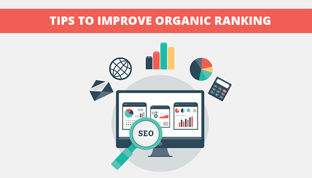 Organic Ranking Tips