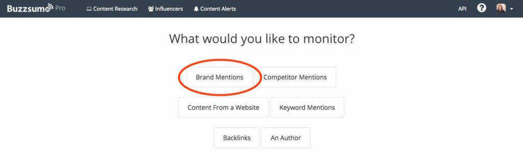 KeeverSEO BuzzSumo Brand Mentions